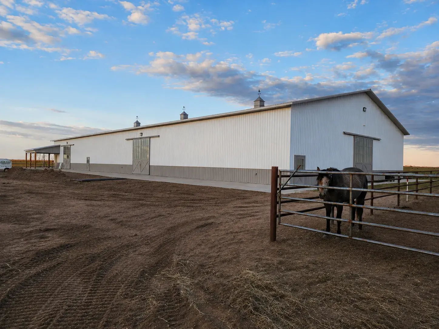 Horse standing by a paddock fence in front of an insulated EPS equestrian barn